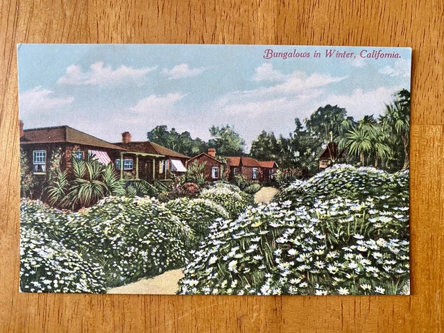 Bungalow homes in Winter Santa Barbara CA Vintage RPPC postcard, unposted, 