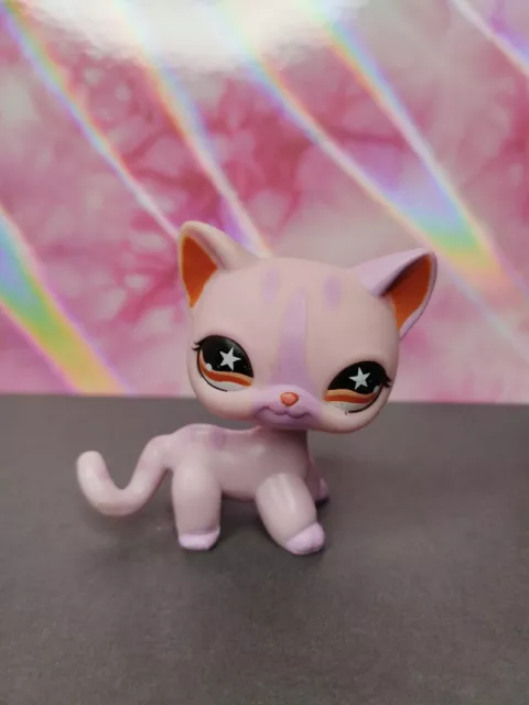 Littlest Petshop Lps Chat Européen Cat Kitty Shorthair 933