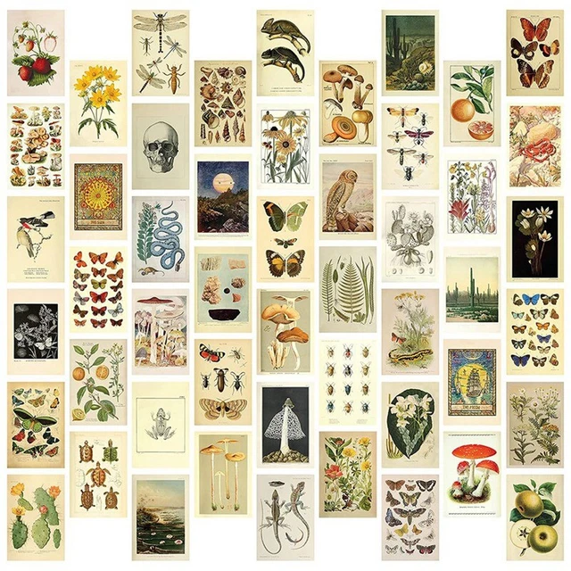 VINTAGE AESTHETIC WALL Collage Kit 50 Botanical Cottagecore Collage vintage-aesthetic-wall-collage-kit-50-botanical-cottagecore-collage