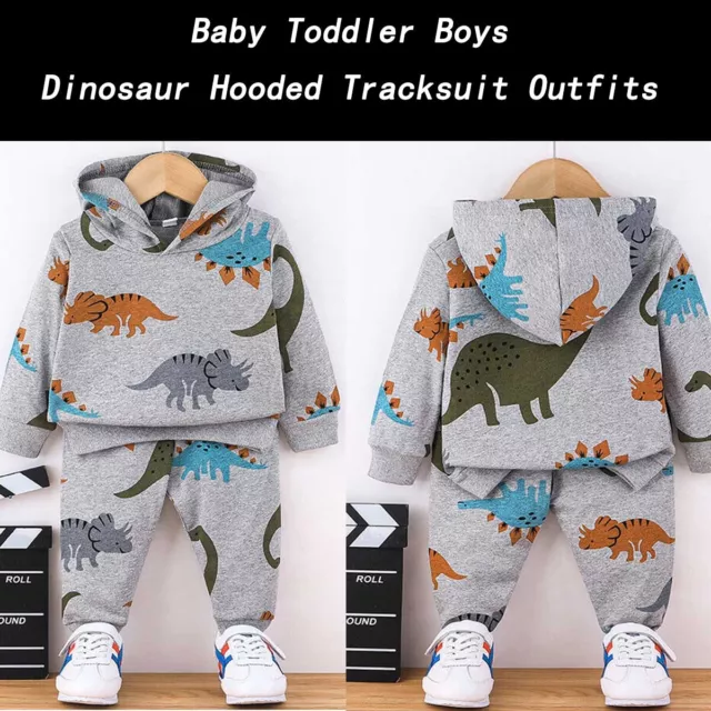 Baby Infant Boys Toddler Dinosaur Outfit Hooded Tops Pants Tracksuit Clothes Set