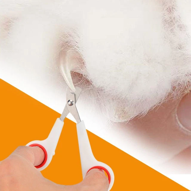 SupportsHelp forbici per unghie, acciaio inox, per cani e gatti, bianco -it