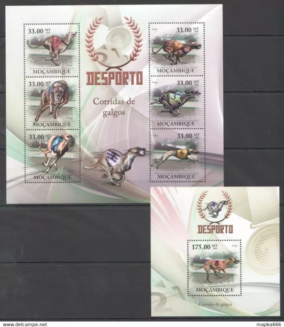 Bc1345 2010 Mozambique Sport Fauna Dogs Racing 1Kb+1Bl Mnh