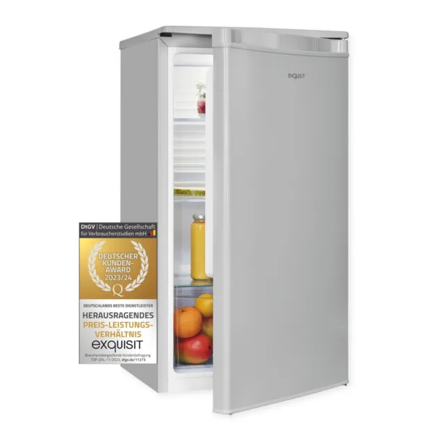 Enventor Mini Kühlschrank 10 Liter, 220V AC + 12V DC, Kühler und