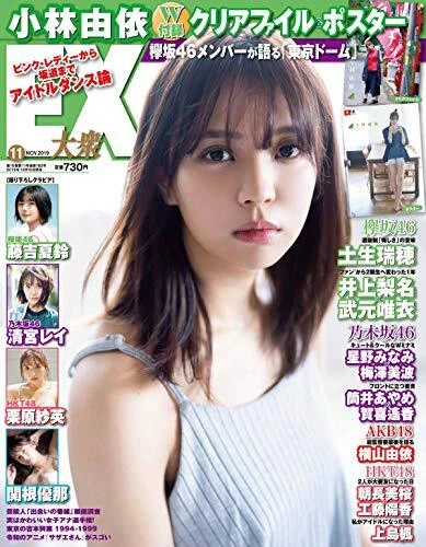 JAPAN GIRLS WOMEN photo book magazine Ex Public 2019 November Magazin ...