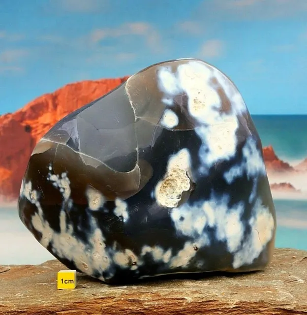 Orca Killer Whale Agate Large Polished Freeform Natural Mineral 1926g 2