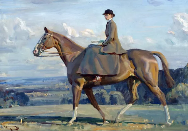 Lady On Horseback Alfred Munnings  *  Large A3 Size Quality Canvas Art Print