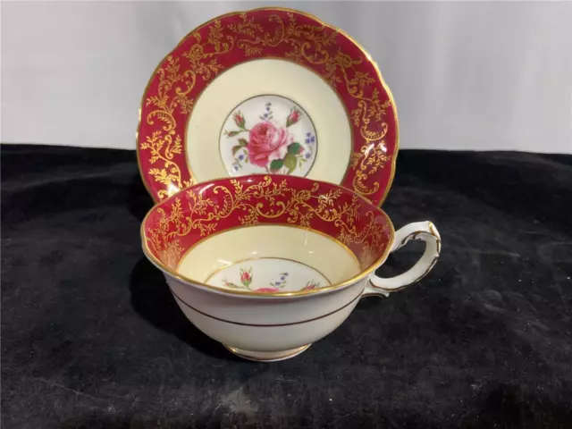 Royal Swansea Rose China Cup & Saucer Floating Cabbage Rose R139