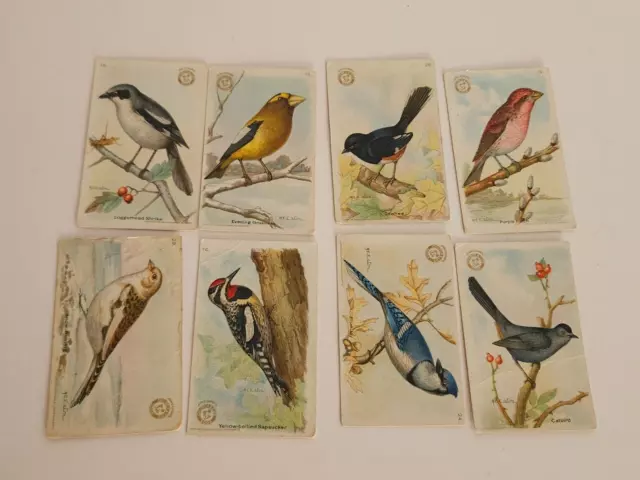 Vintage Church & Dwight Useful Birds of America Trading Cards