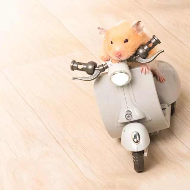 Lighting 360 Degree Rotating Motorcycle Hamster Toy Pet Supplies Scooter