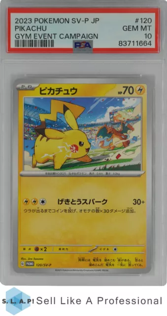 2023 Pokemon Japanese Sv-P Promo 120 Pikachu Gym Event Campaign Psa 10