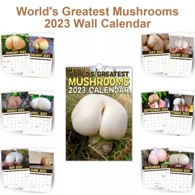 World's Greatest Mullets 2024 Wall Calendar // Funny / Quirky