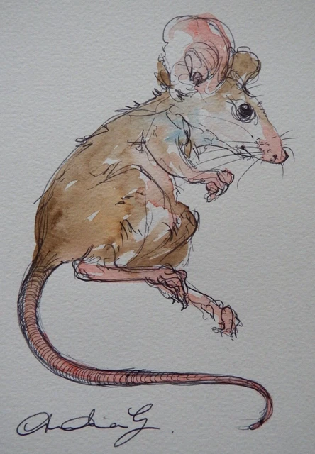 Mouse Playing Ink ORIGINAL PEN & ink and watercolour painting of a mouse £29.99 - PicClick UK