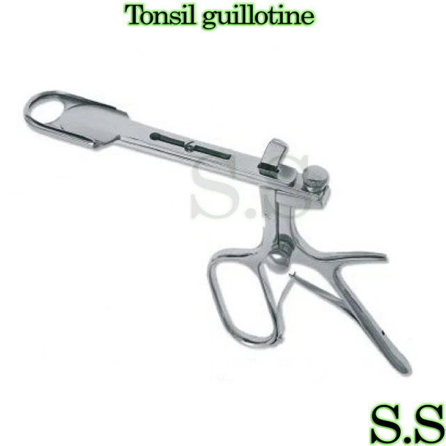 Coupe-fromage Guillotine En Acier Inoxydable - Socle Bois - Lame 15,8 Cm - Pour Saucisse, Pain, Légumes - 10
