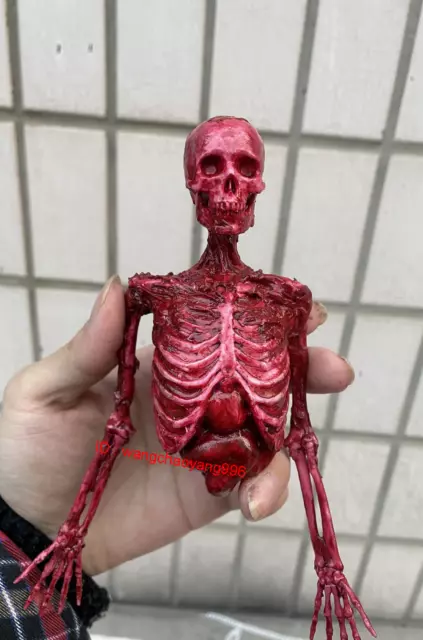 1/6 Half-body Flesh Blood Skeleton Human Skeleton Model Fit for 12"Action Figure