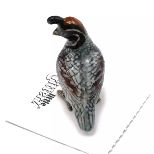 Little Critterz - Gambel's Quail "Sage" Bird - Miniature Porcelain Figurine