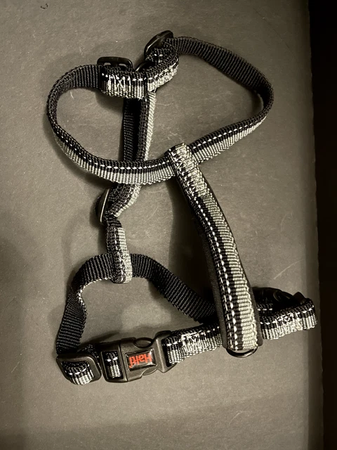 Kong paracord best sale harness