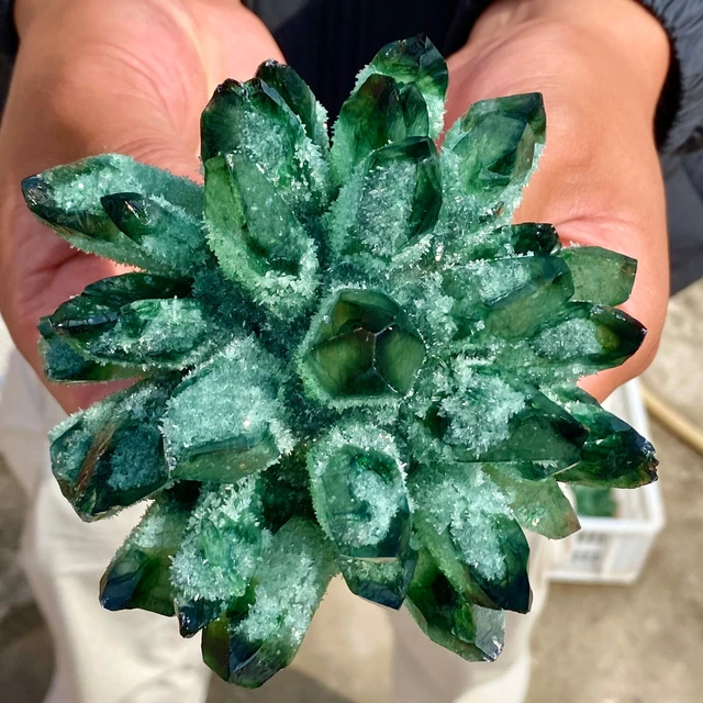 1.7LB New Find Green Phantom Quartz Crystal Cluster Mineral Specimen Healing-Y