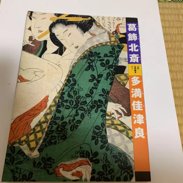 KATSUSHIKA HOKUSAI UKIYOE SHUNGA WOODBLOCK PAINT ART Book 1996