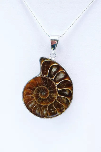 Silberkette mit edlem Ammoniten-Anhänger