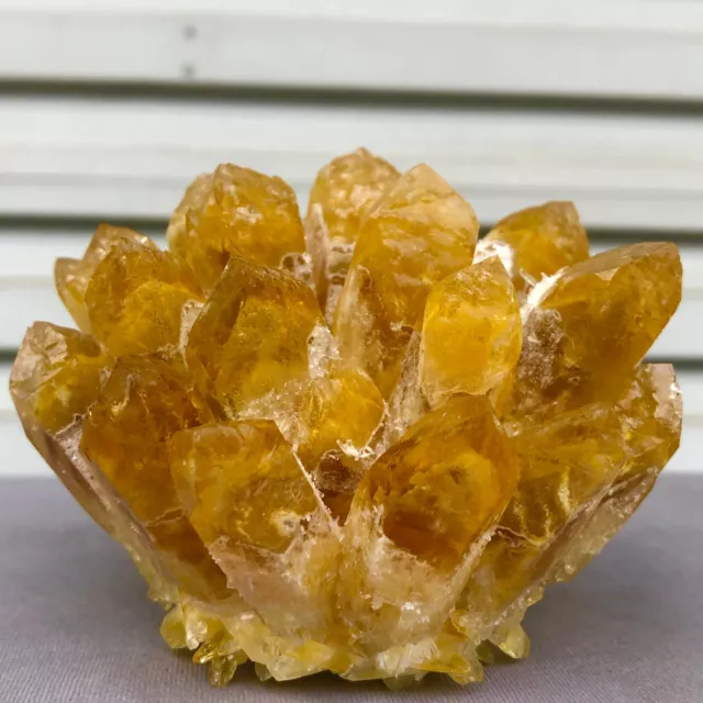 1.54lb  New Find Yellow  Phantom Quartz Crystal Cluster Mineral Specimen Healing
