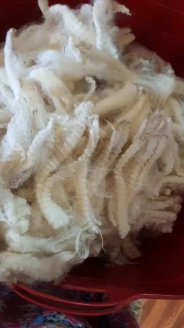 1kg Quality Sheeps Xbred Raw Long Wool Fleece Spinning Felting Craft