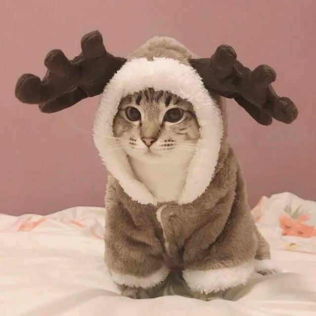 1 PC Inverno Gatto Vestiti Caldo Pile Animali Costume per Piccoli Jumpsuits