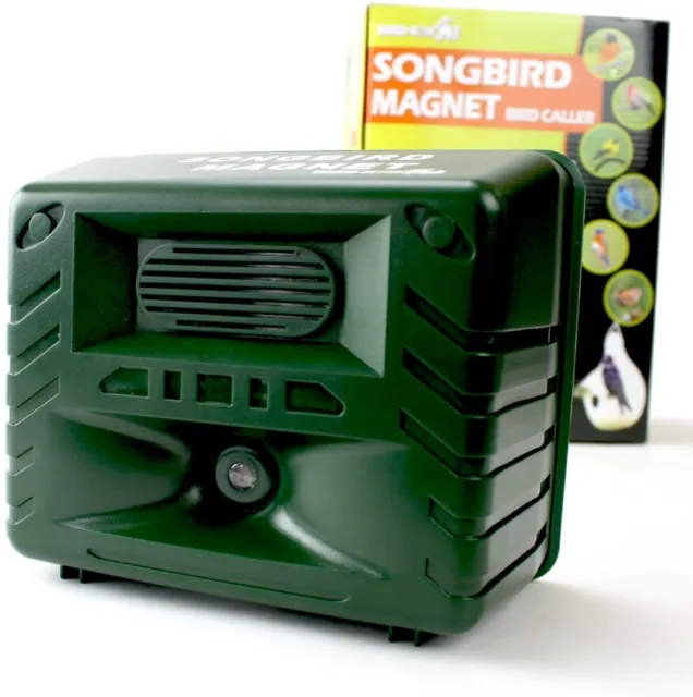 SBM Songbird Magnet