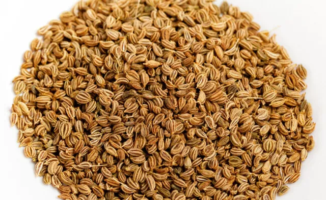 25 graines de THYM INDIEN (Trachyspermum ammi) AJWAIN E28 AJOWAN SEEDS SAMEN