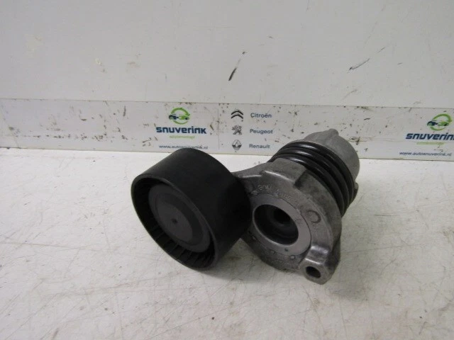 117506193R TENSIONNEUR COURROIES MULTIPLES Renault Captur (2R) 2014