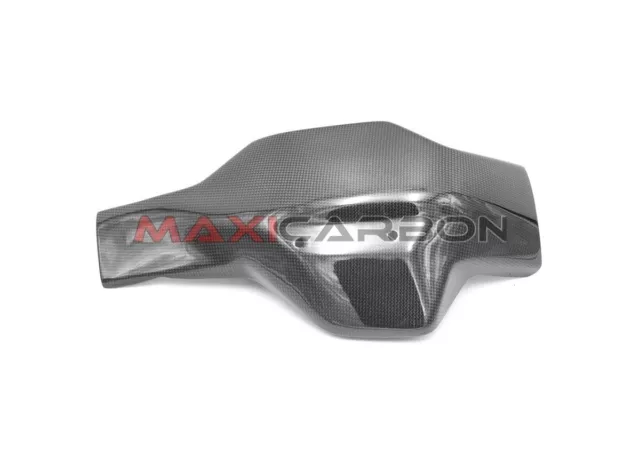 Cover forcellone carbonio Ducati Hypermotard 796-1100 / Swingarm cover carbon