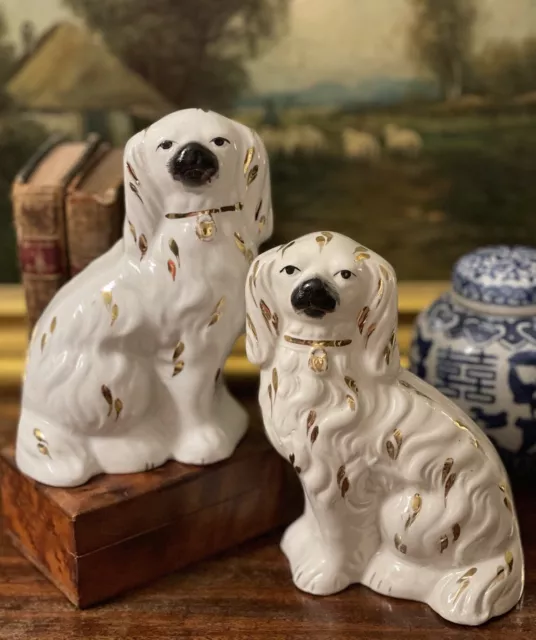 Glorious Rare White English Staffordshire Spaniel Foxhound Mantle Dog Pair 5.5”