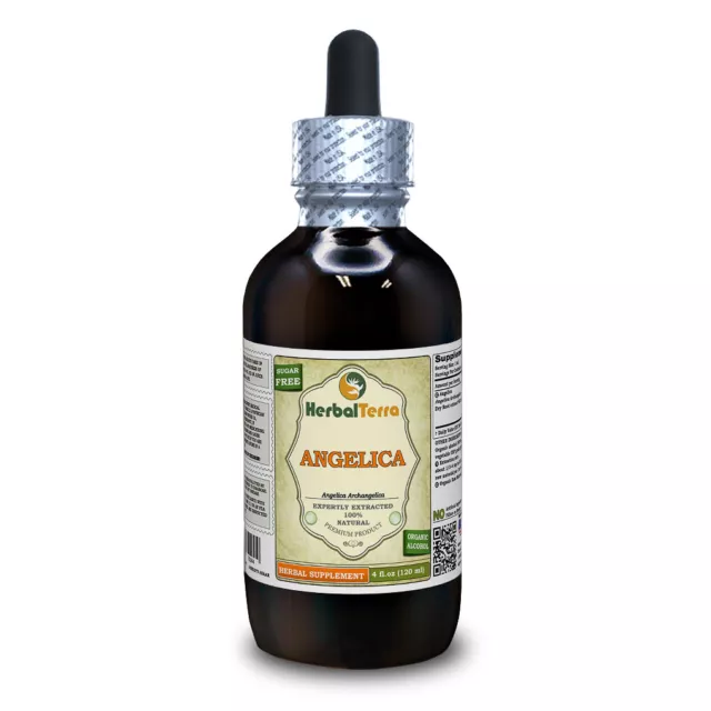 Angelica (Angelica Archangelica) Tincture, Organic Dried Root Liquid Extract