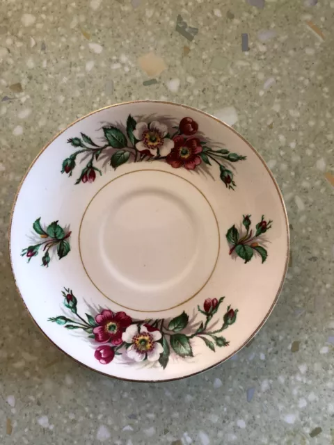 John Maddock & Sons Saucer - Ivory Ware