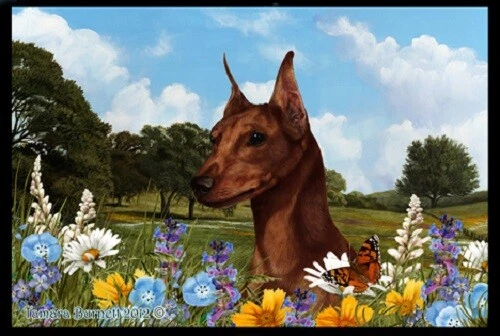 Summer Floor Mat - Red Miniature Pinscher 39223