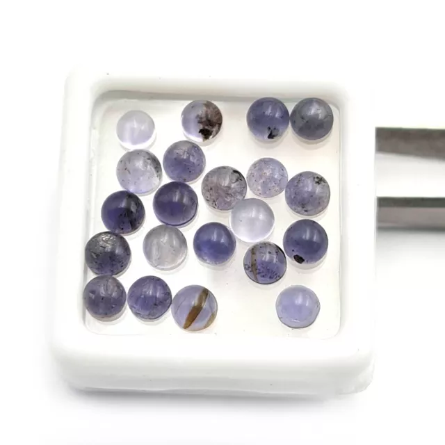 Naturel Iolite Petit Rond Cabochon Desseré Pierre Précieuse Lot 100 Pièces 4 MM