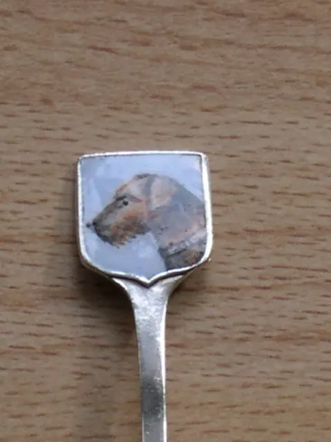 Antique Solid Silver Hand Painted Colour Enamel Irish Terrier Dog Spoon 1902