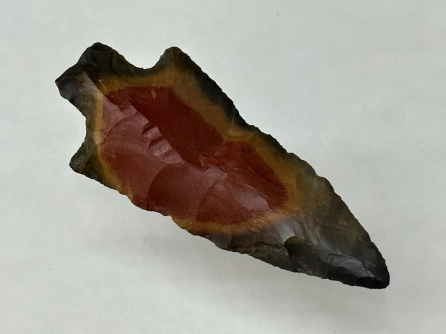 Incredible Tri-Color Horse Creek Chert Pickwick From Lauderdale Co Alabama