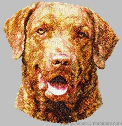 Embroidered Long-Sleeved T-Shirt - Chesapeake Bay Retriever DLE1507