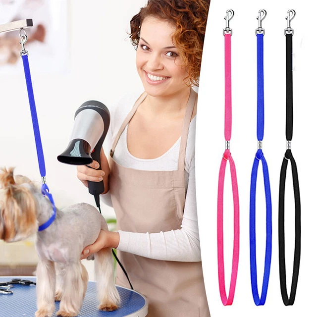 🔥 🔥 Boucles De Toilettage Pour Animaux De Compagnie Nylon Restraint Noose 》