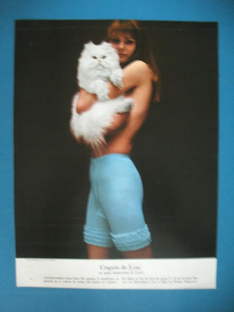 Publicite De Presse Lou Panty Coquin Amincissant En Lycra Chat Persan Ad 1968