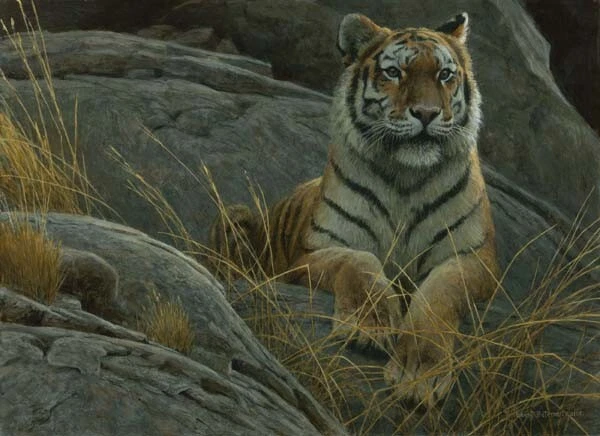 Robert Bateman Monarch of Asia Canvas Giclee