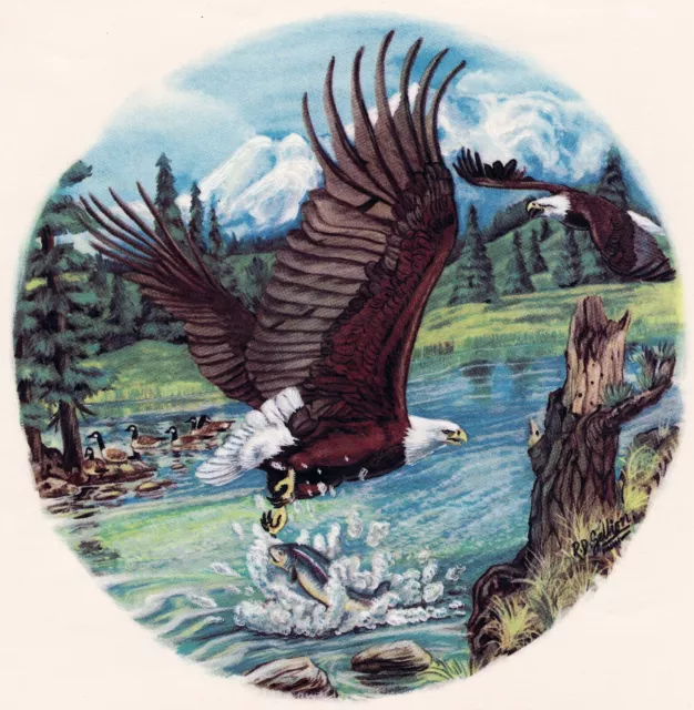 Calcomanías de cerámica Eagle Hunting Fish River 1 pieza 5-1/2" buey