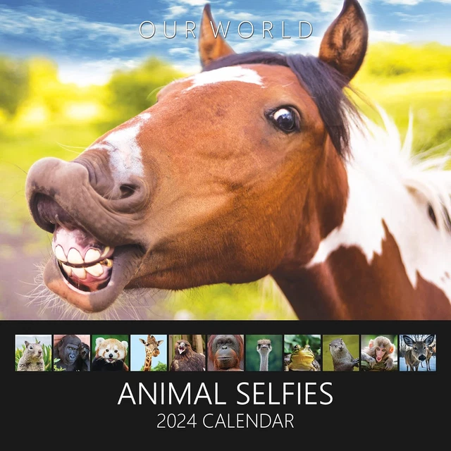 FUNNY ANIMAL CALENDAR 2024. Animal Selfies 2024 Funny Wall Calendar 12