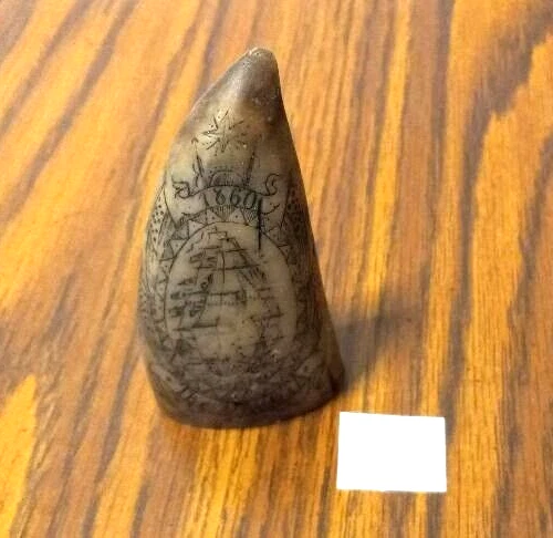 Scrimshaw New Art Collectible Home Office