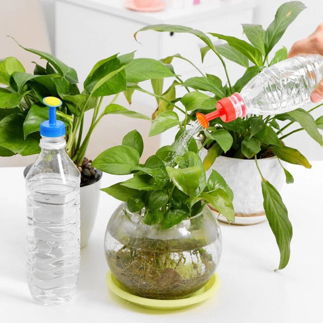 Ugello atomizzatore da giardino in rame G3/8 filettatura interna testa