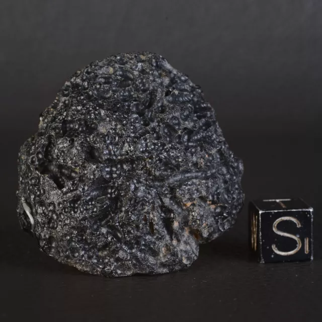 Indochinite 18,70 G Tektite Impact Meteorite Australasite Tektite E7.1-1