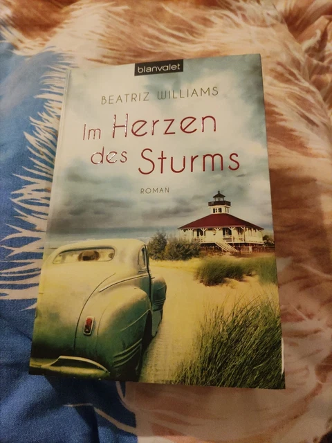 Im Herzen des Sturms von Beatriz Williams (2014, Taschenbuch)