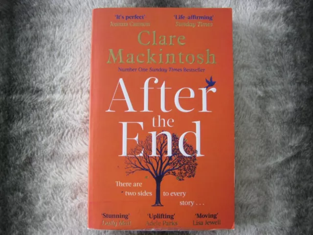 After the End: The powerful, life-affirming novel from the Sunday Times...