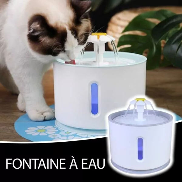Fontaine animaux Bol d'alimentation LED Distributeur D'eau Pour chien chat