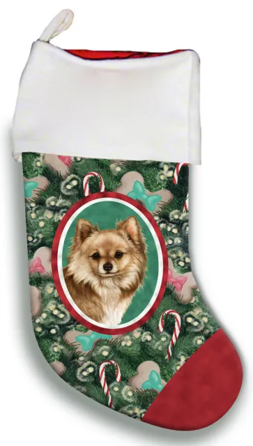 Christmas Stocking - Fawn Longhaired Chihuahua 11145